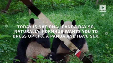 pornhub panda|Pornhub wants you to dress up like a panda and have sex. Really..